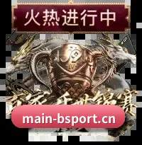 b体育 APP 界面